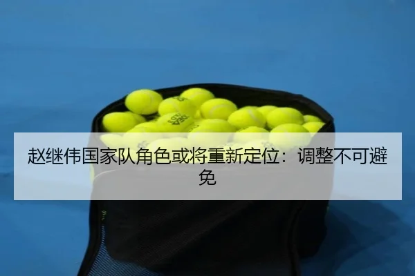 赵继伟国家队角色或将重新定位：调整不可避免